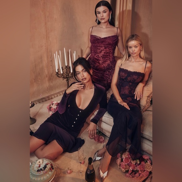 House of CB Dahna Dark Purple velvet corset dress - Picture 5 of 16